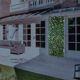 Sakura 34 in. x 76 in. Expandable Trellis with Lights (2-Pack)