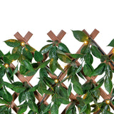Sakura 34 in. x 76 in. Expandable Trellis with Lights (2-Pack)