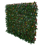 Sakura 34 in. x 76 in. Expandable Trellis with Lights (2-Pack)