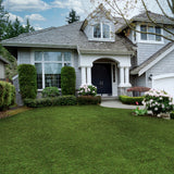 Woodbury – Césped artificial de 35 mm, 35 oz, 1,14 mx 3,51 m