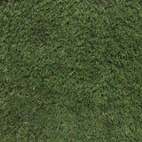 Césped Artificial Pine Valley 1,14 x 2,64 m