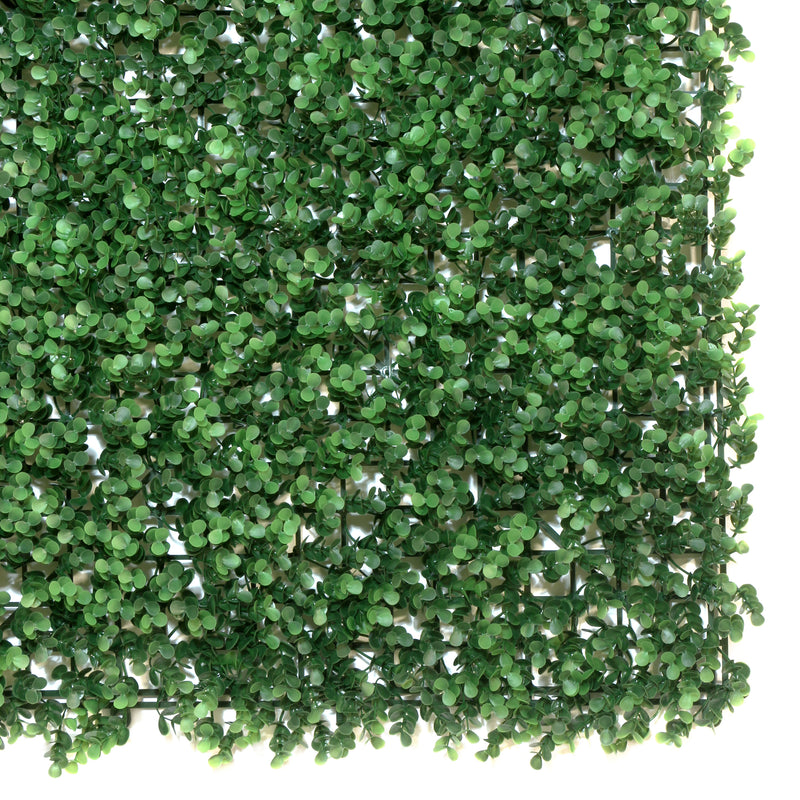 English Boxwood 40 in. x 40 in. Artificial Hedge Panel (1-Pack)