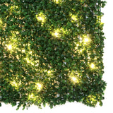 English Boxwood 40 in. x 40 in. Artificial Hedge Panel with Lights (2-Pack)