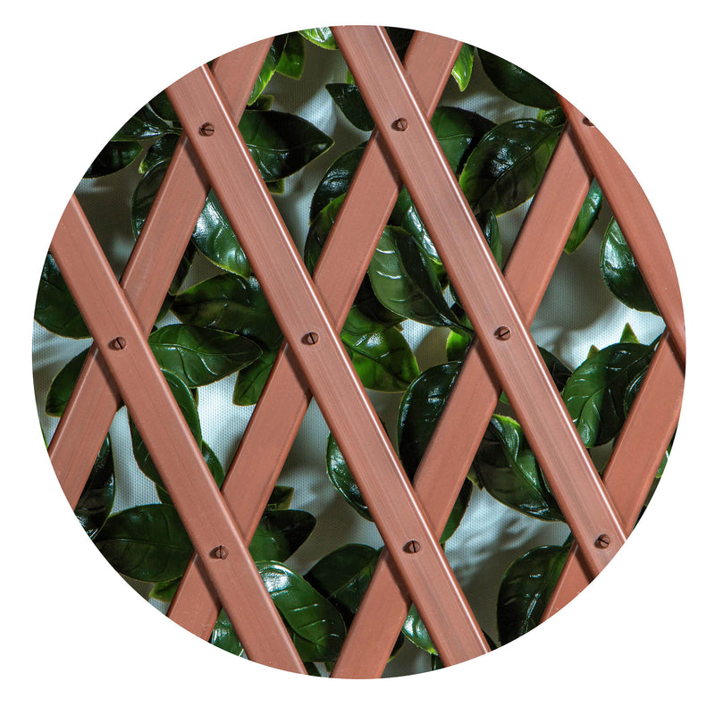 Gardenia 34 in. x 76 in. Expandable Trellis (1-Pack)