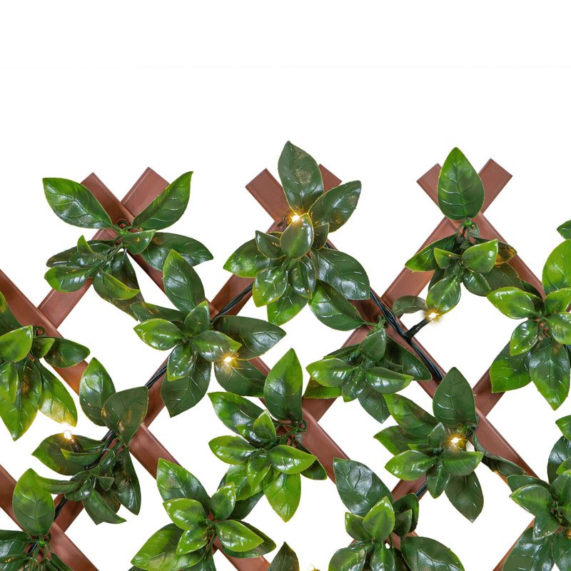 Gardenia 34 in. x 76 in. Expandable Trellis with Lights (2-Pack)