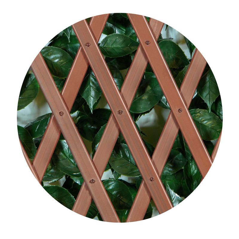 Sakura 34 in. x 76 in. Expandable Trellis (2-Pack)