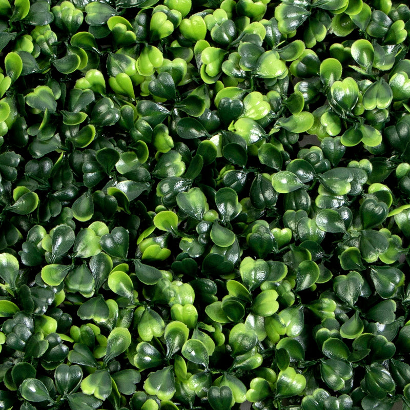 Boxwood Artificial Hedge Wall Panels